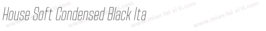House Soft Condensed Black Italic字体转换